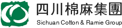 成都監控安裝公司